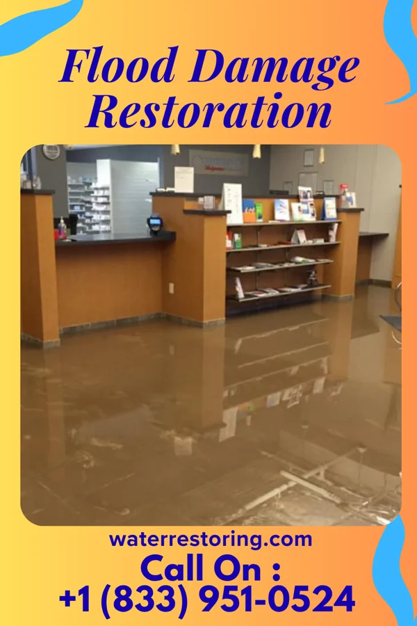 Flood Damage Restoration in Galveston, IN