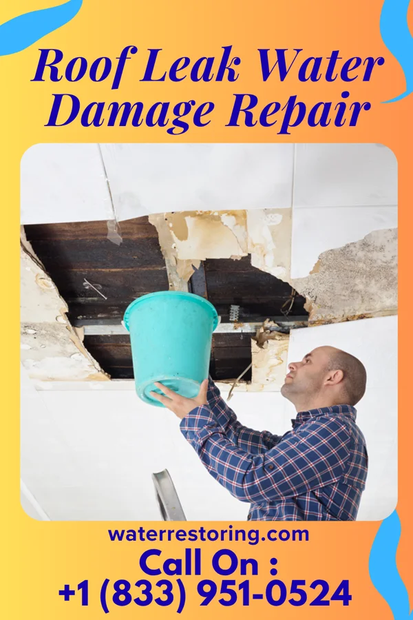 Roof Leak Water Damage Repair in Galveston, IN
