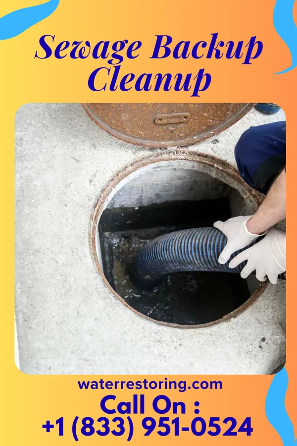 Sewage Backup Cleanup in Galveston, IN